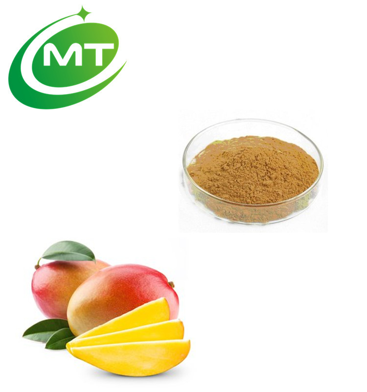 100 Natural Organic 101 Irvingia Gabonensis African Mango Seed