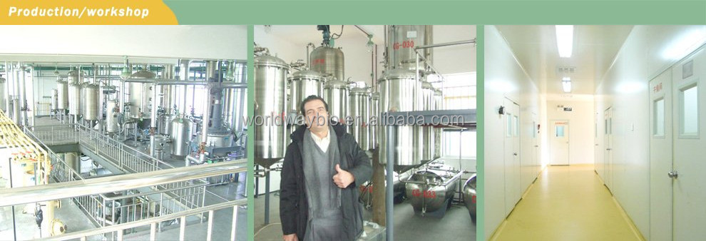 Cocoa extract GMP KOSHER HACCP China manufacturer supply pure natural cocoa polyphenol cocoa seeds extract