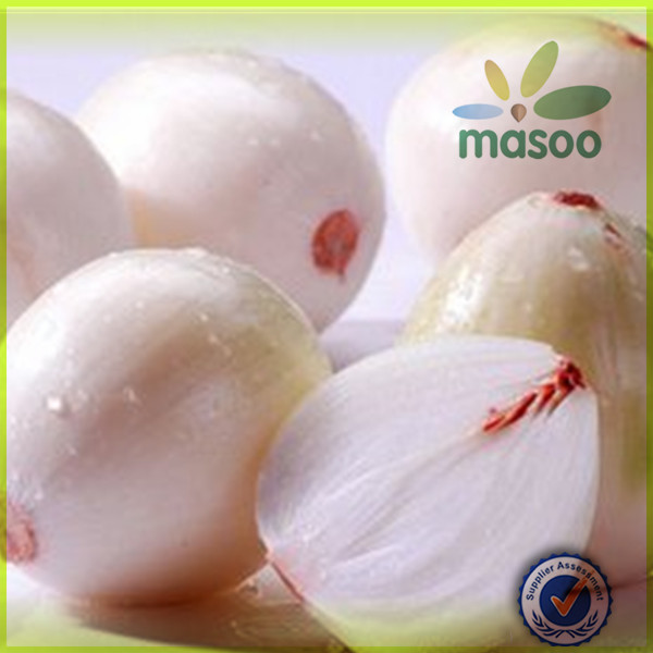 wholesale fresh onion /nutrientional china origin 2014 new fresh white onion exporter in China