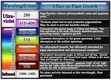 2014 Hot-selling 300watt (100x3w) Full Spectrum LED Grow Light for Greenhouse Garden Growing, Grow Light LED