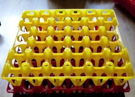 プラスチック製の卵のサポート仕入れ・メーカー・工場