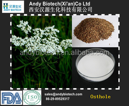 High Standard Cnidium Monnieri Extract 98% Osthole