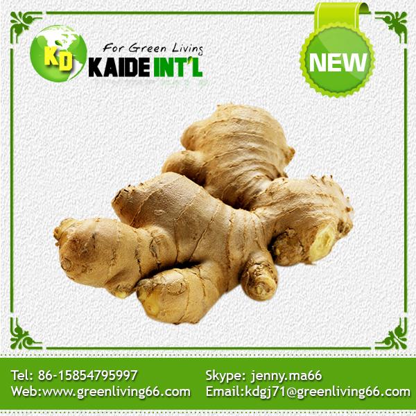 Fresh Ginger (50g-350g) In Mesh Bag Product