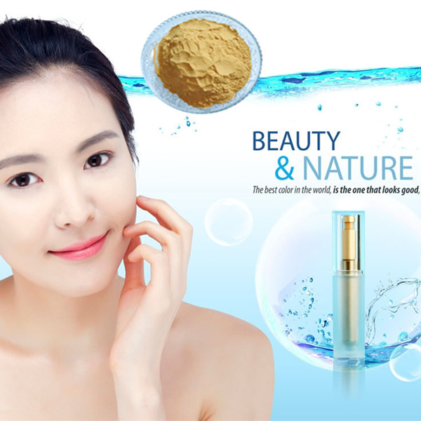 natural polyphenols cinnamon extract powder, pure natural plant extracts