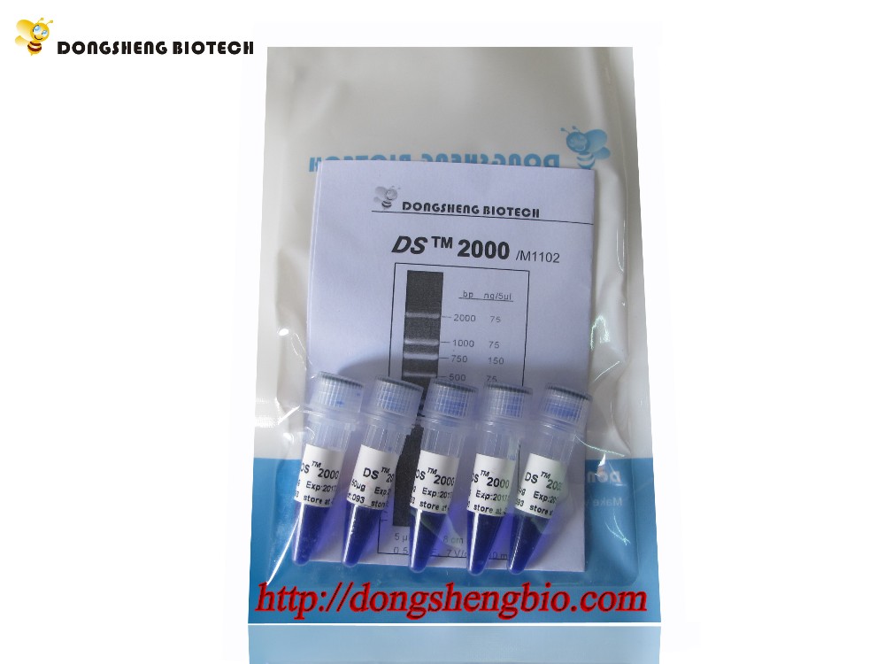 M1102 DS2000.jpg