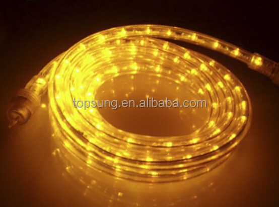 Yellow Rope light.jpg