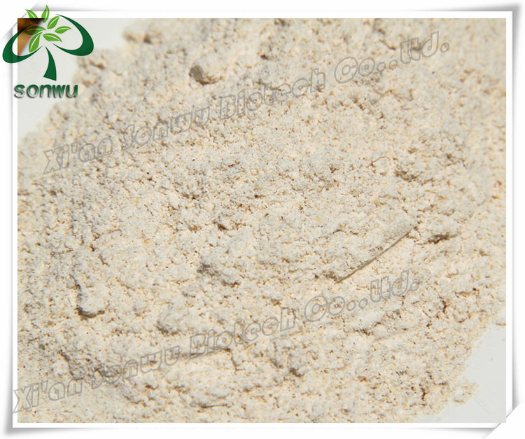 soy isolate protein/soya protein powder