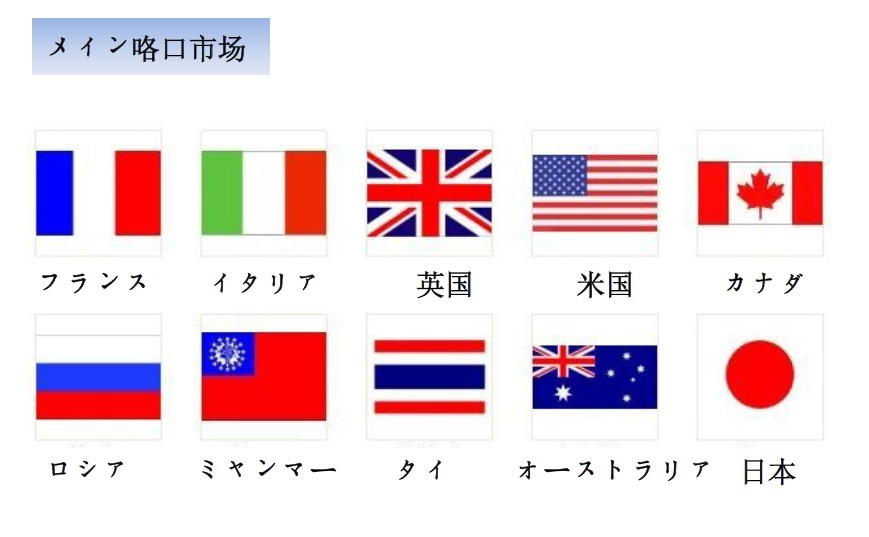 ホテル式のシングル水力マッサージに浸かった問屋・仕入れ・卸・卸売り