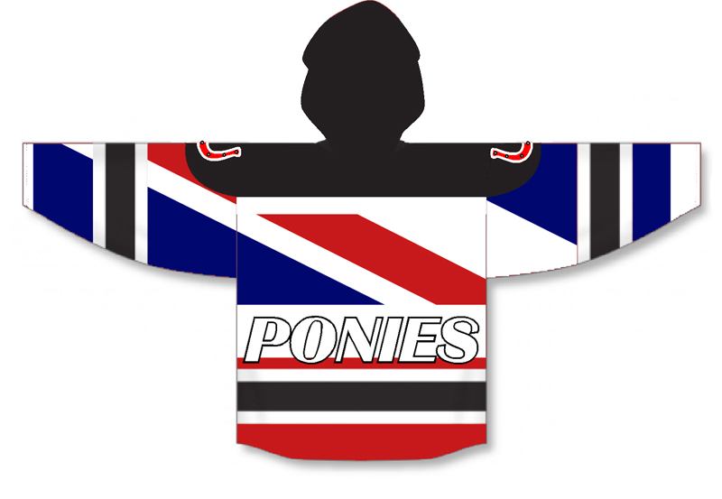 hockey-hoodies2017312w.jpg