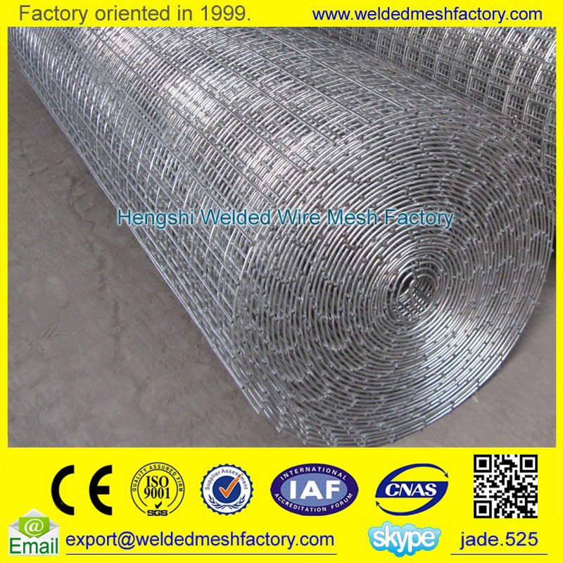 Stainless Steel Bird Cage Welded Wire Mesh Roll - Buy Galvanized Welded Stainless Steel Wire Mesh For Bird Cages