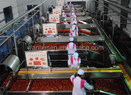 Low Price Wholesale tomato paste processing plant