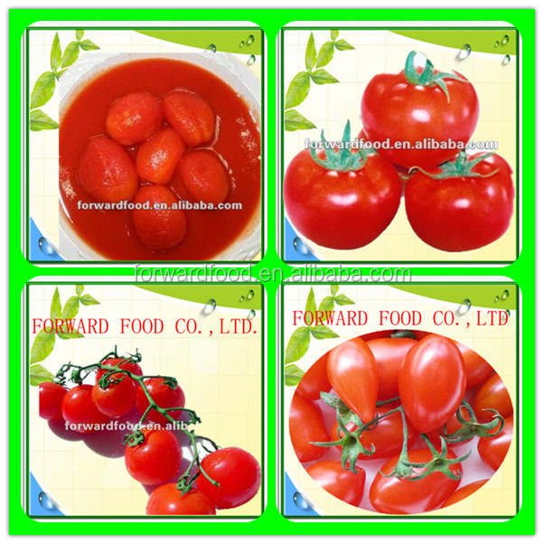 400g canned whole peeled tomatoes italian peeled tomatoes,China OEM