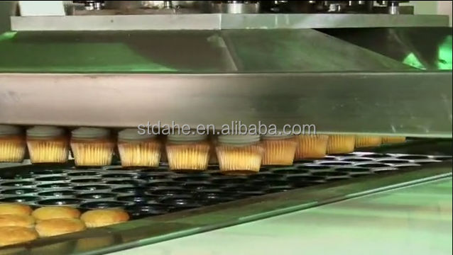 Cake Injection Machine & Vacuum Depanner Cake Demoulding Machine