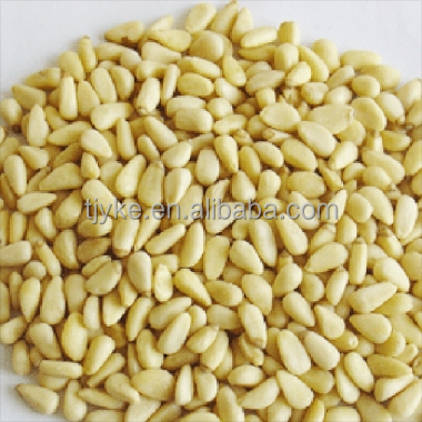 Pine nuts kernels YKE-P005
