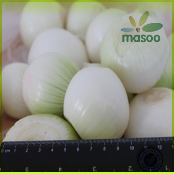 wholesale fresh onion /nutrientional china origin 2014 new fresh white onion exporter in China