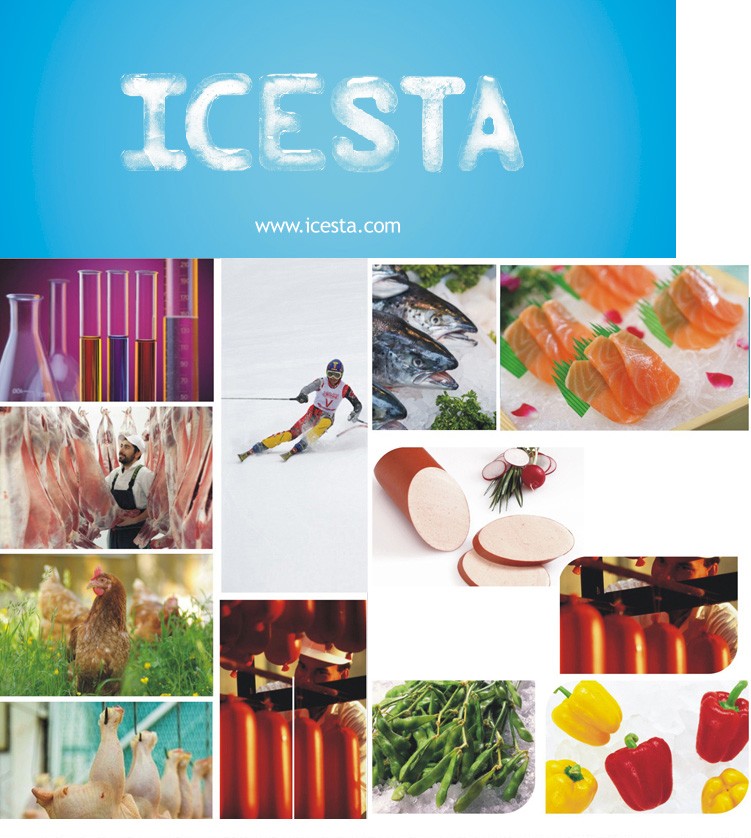 Icesta no 1熱い販売氷フレーク機漁業用、商業スーパーマーケット仕入れ・メーカー・工場