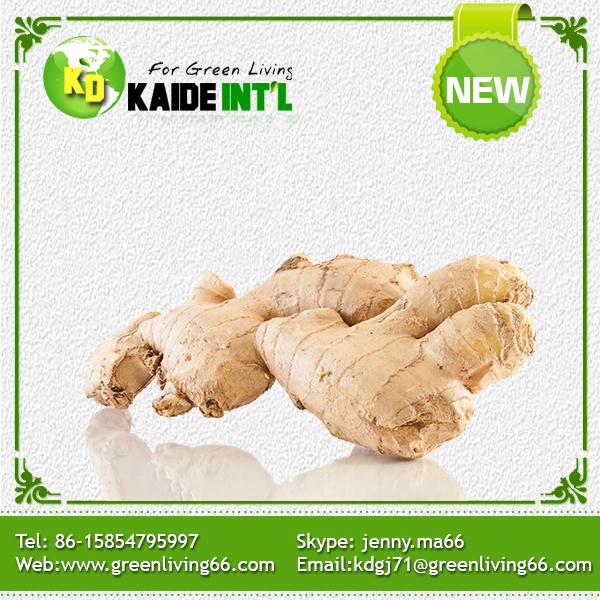 China Ginger In Mesh Bag Package. Moq:1x40fcl.