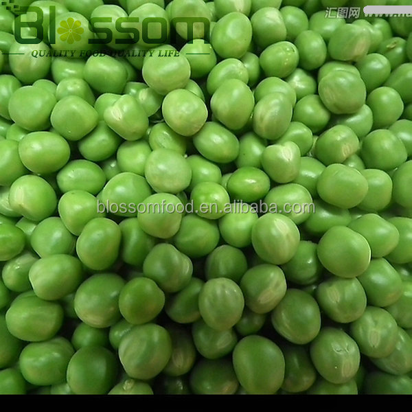 Spring new crop fresh frozen spring bulk frozen iqf green peas