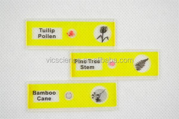 優れた植物学顕微鏡スライド12個プラスチック製のスライドセット問屋・仕入れ・卸・卸売り
