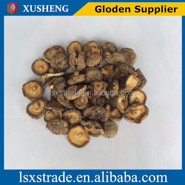 canned shiitake mushrooms(B)