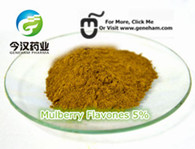 Mulberry Leaf Extract 1-Deoxynojirimycin DNJ Natural White Mulberry