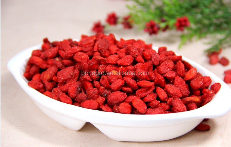 nutrition china NingXia Goji Berry provide sample worldwide