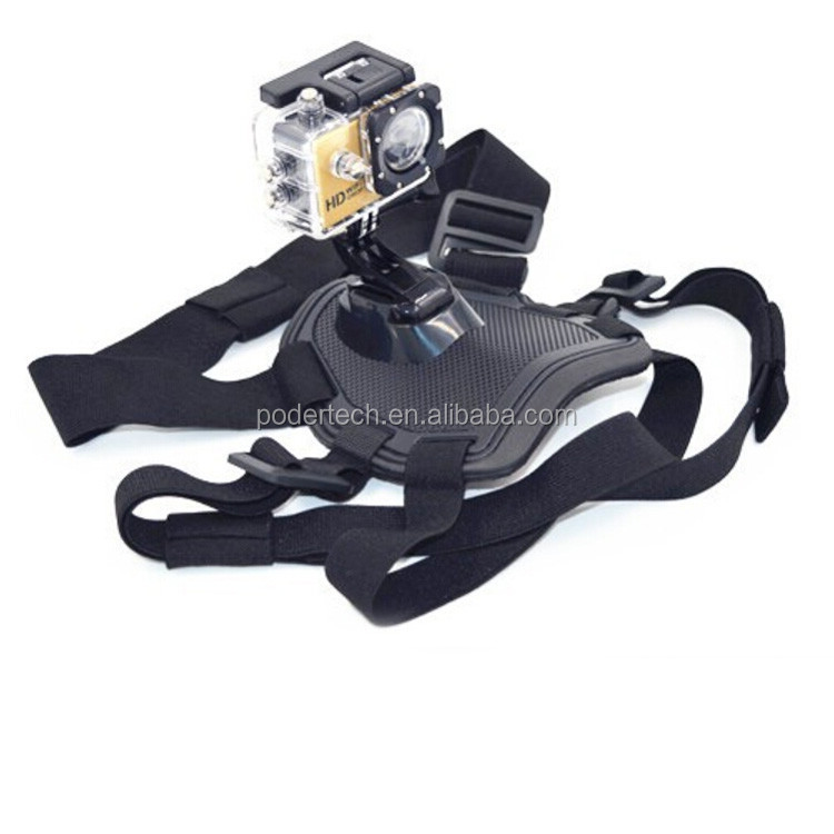 Go pro dog mount