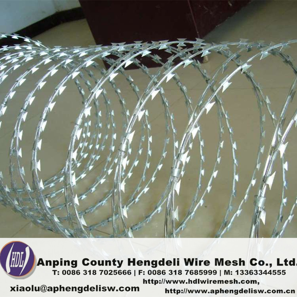 galvanized razor barbed wire/factory direct sale