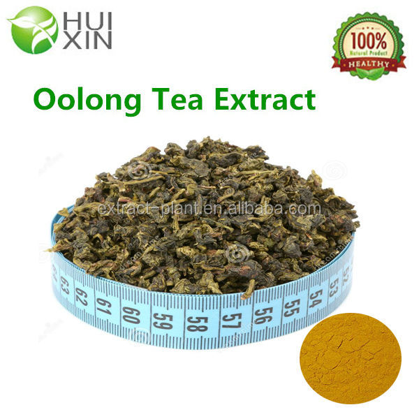 Oolong Tea Extract Tea Polyphenols 25%