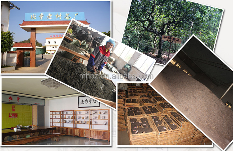 Ancient Chinese bulk tea for sale