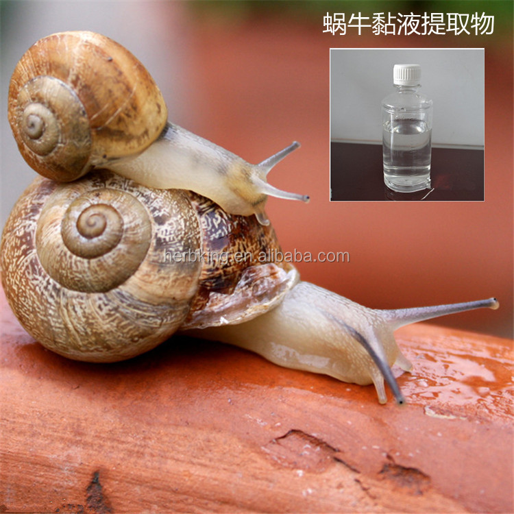 Snail Slime Extract/snail Extract Liquid Buy Cosmetic,Snail Slime