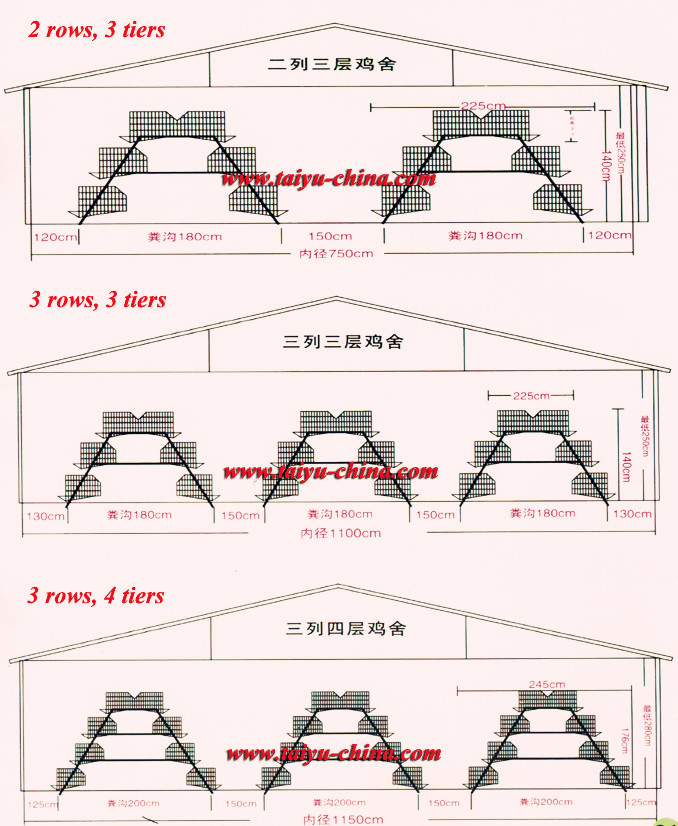 Poultry farm design layout in the Philippines - cage specification of 