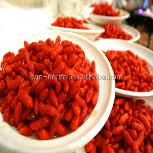 Chinese Red Ningxia Bulk Organic Dried Goji Berry