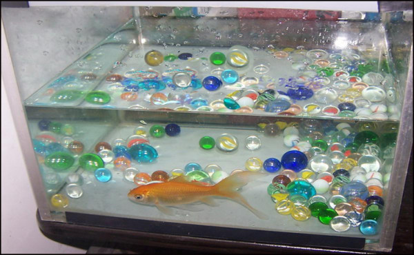 glass marble