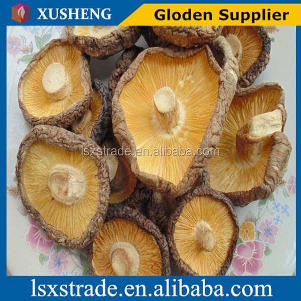 dried shiitake mushroom hot sale(B)