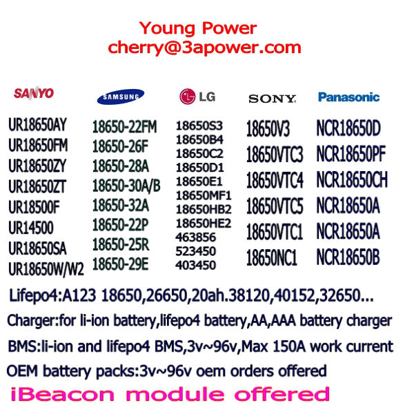 ebikeのバッテリーパック36v10ahリアcaiiverbms充電器付きモデル、 パワー表示仕入れ・メーカー・工場