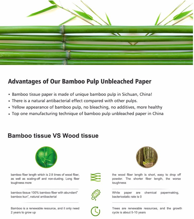 bamboo in the paper