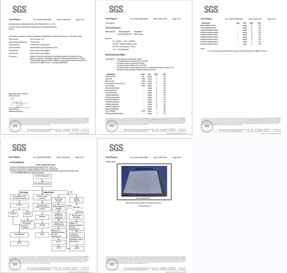 SMDS Testing report.jpg