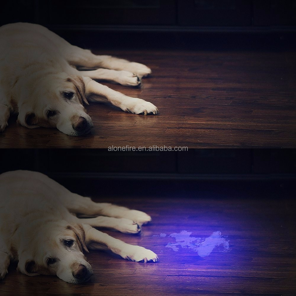 501B UV blacklight flashlight (4)