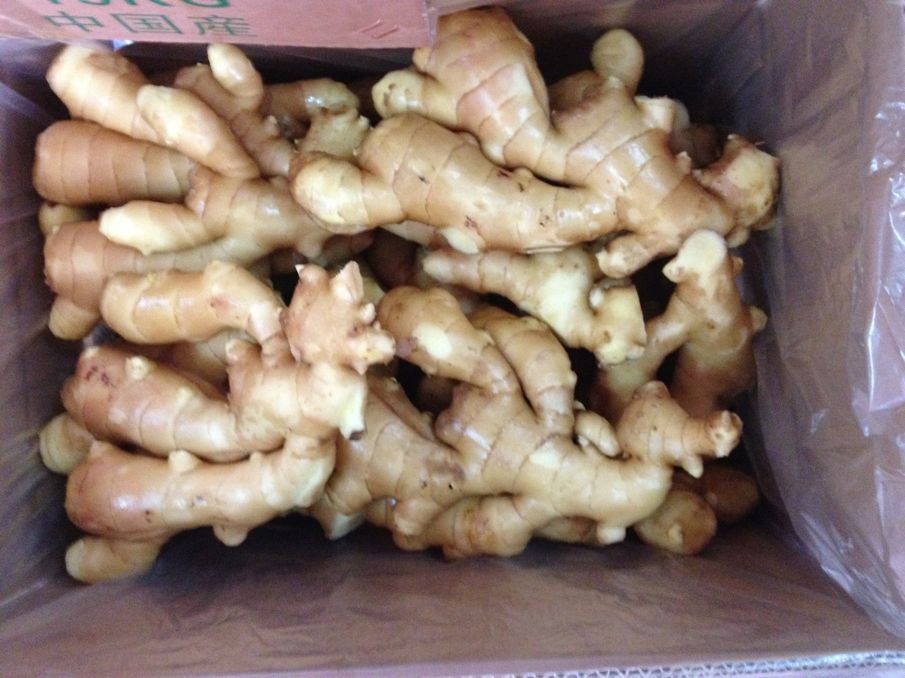 cheap price of fresh ginger in egypt