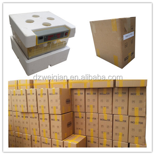 96 72 egg incubator.jpg