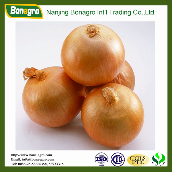 bulk yellow onion