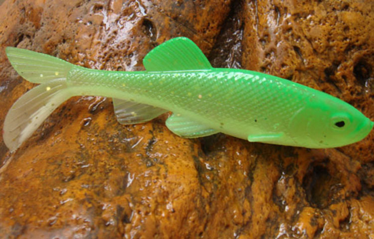 の魚のルアーソフトシリコンモールドの中国語の熱い販売の釣り餌仕入れ・メーカー・工場