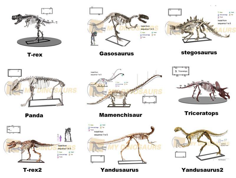 my dino-lifelike dinosaur skeleton