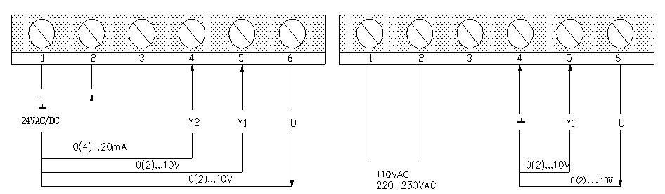 40.png