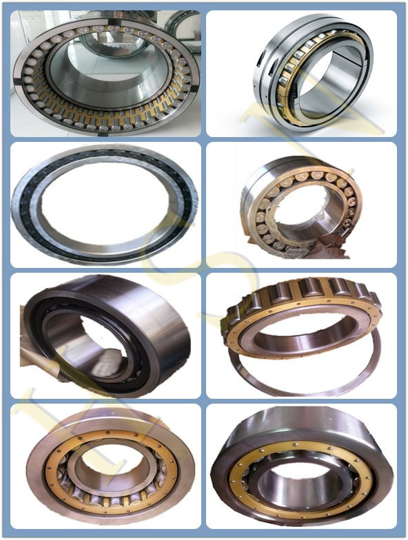 cylindrical roller bearing.jpg