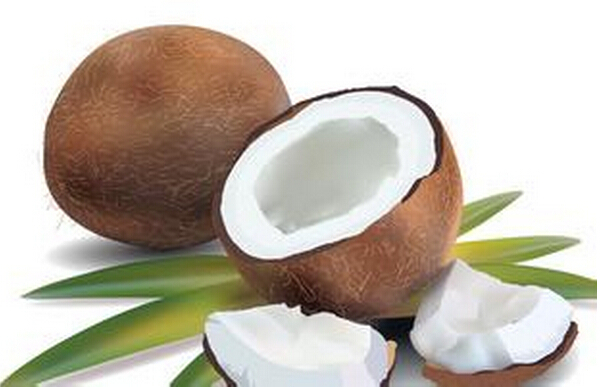 Supply Natural and PureCoconut Extract from china