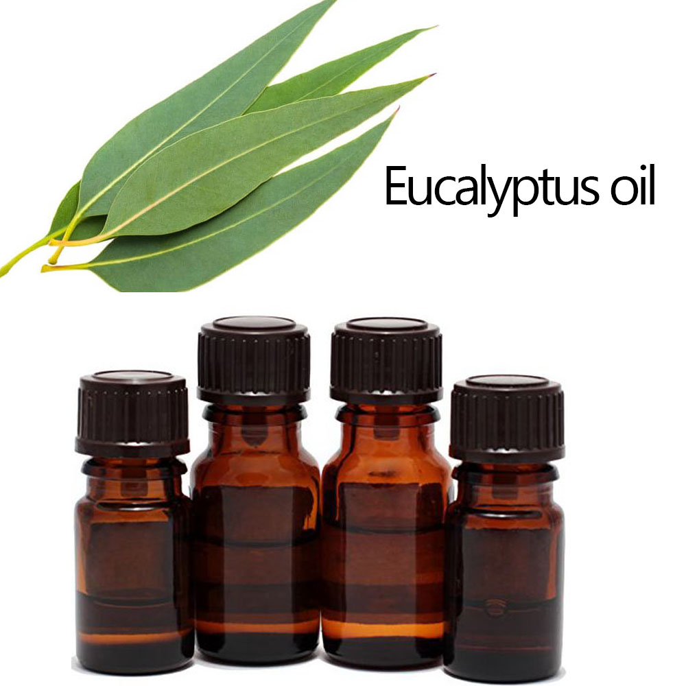 bulk eucalyptus oil highest quality therapeutic grade100% pure