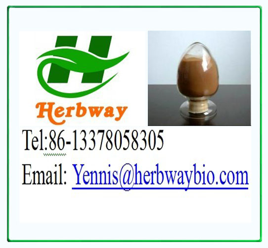 100% Pure Cinnamon bark extract, Cortex Cinnamomi Extract, Cassia Bark extract