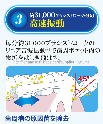 2015良い品質で音波歯ブラシTJ338電動歯ブラシ問屋・仕入れ・卸・卸売り